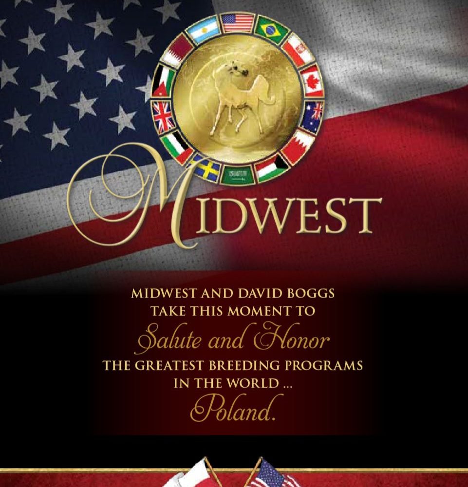 Midwest takes a moment to salute the greatest breeding programs in the world – Poland