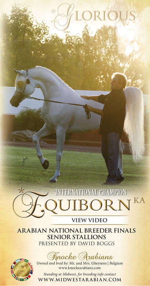 Excellence In Ivory – *Equiborn KA