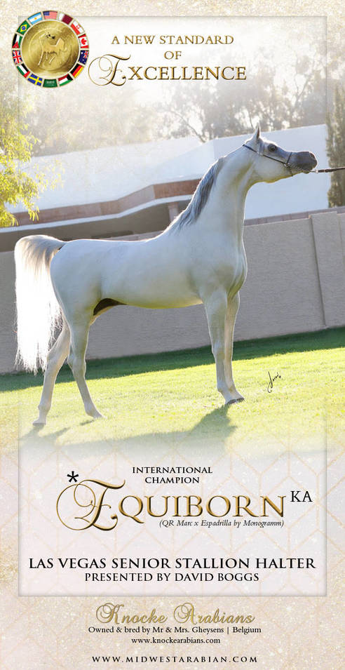 The Excellence Of *Equiborn KA