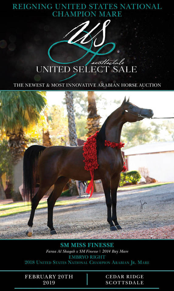 Reigning United States National Champion Mare