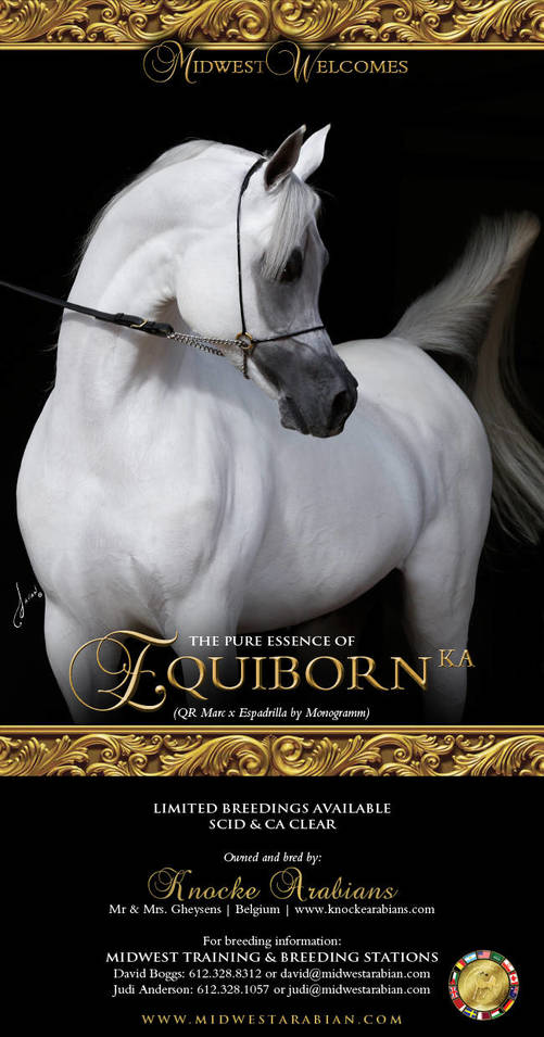 The Wait Is Over – *Equiborn KA Has Arrived In Scottsdale!