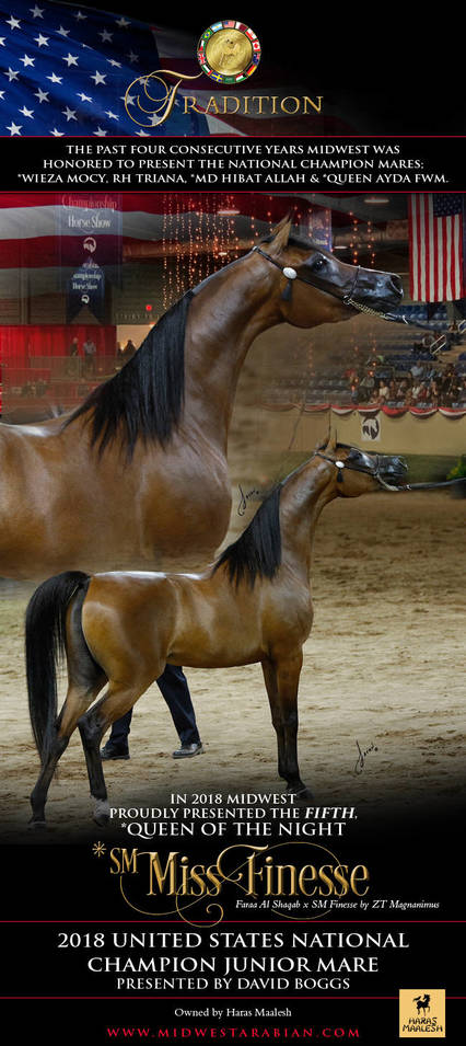 United States National Champion Mare Tradition