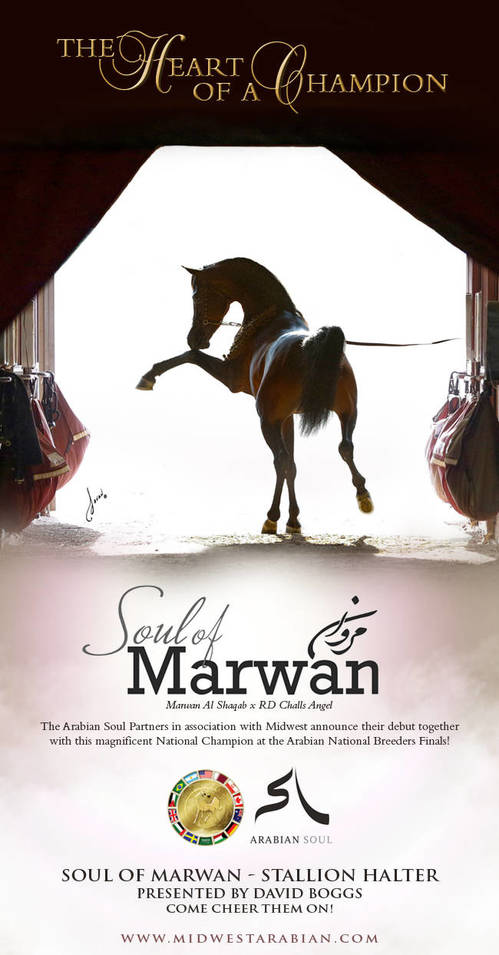 It’s What’s Inside – Soul of Marwan AS