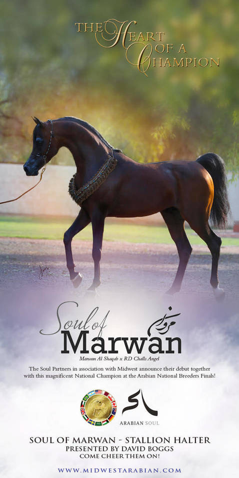 The Heart of A Champion- Soul of Marwan