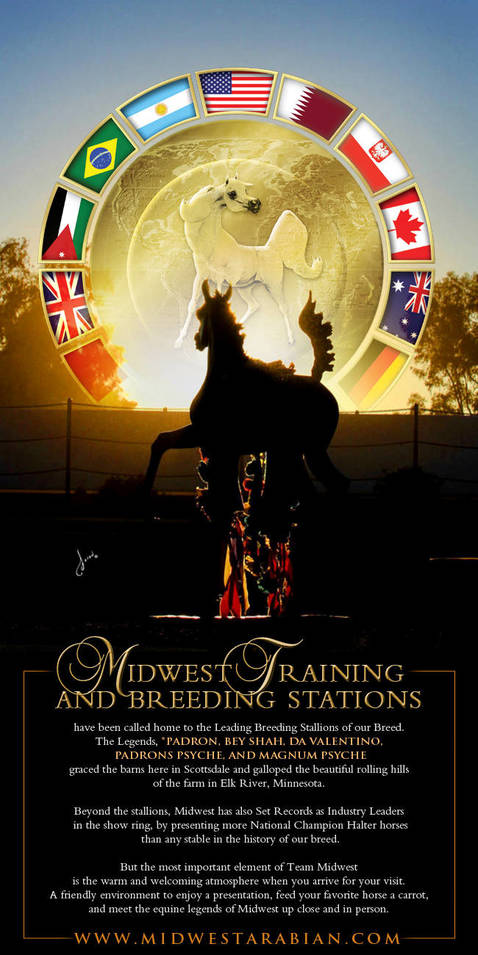 Midwest – The Training Grounds Of Champions