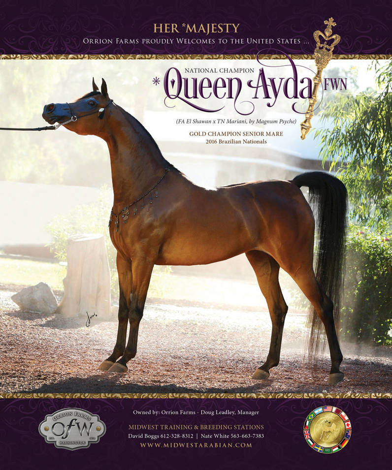 Orrion Farms Proudly Welcomes Queen Ayda FWN