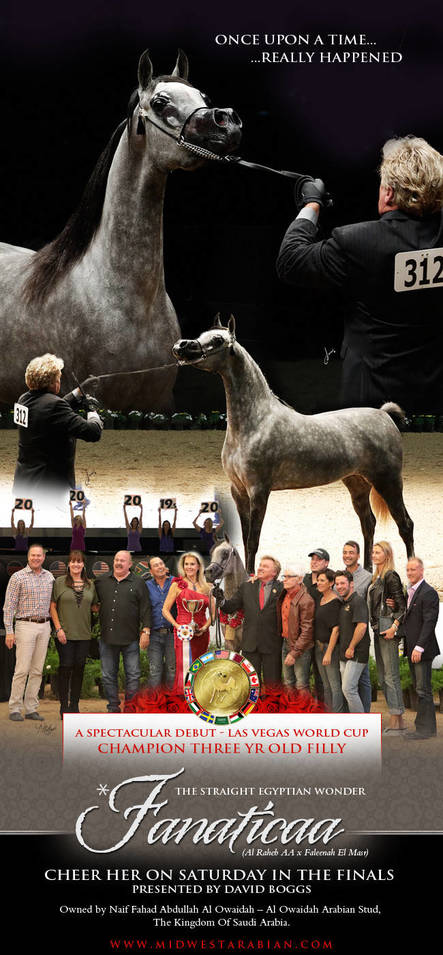 Exquisite World Cup Winner Fanaticaa Receives 7 ” 20 ” Scores From The Judges