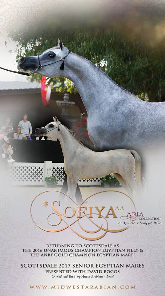 Aria And Midwest Present *Sofiya AA