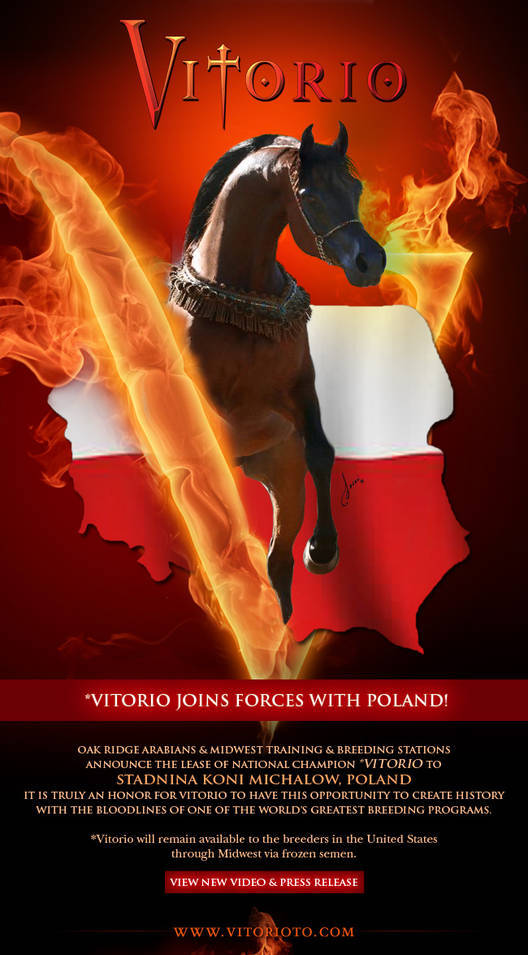 Vitorio Joins Forces with Poland!