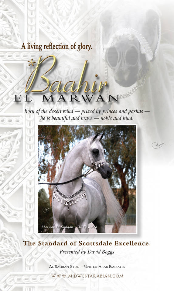 *Baahir El Marwan… Arrives in Scottsdale