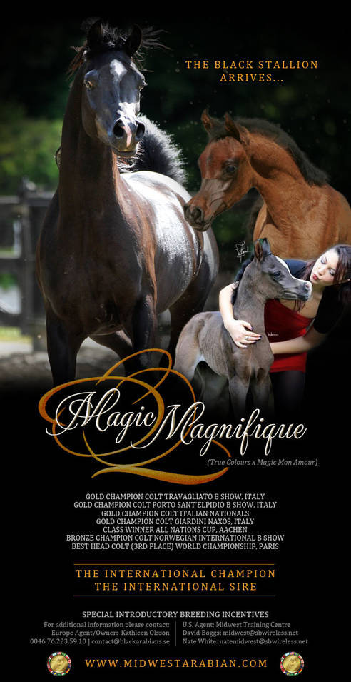 Magic Magnifique arrives to the United States with Midwest!