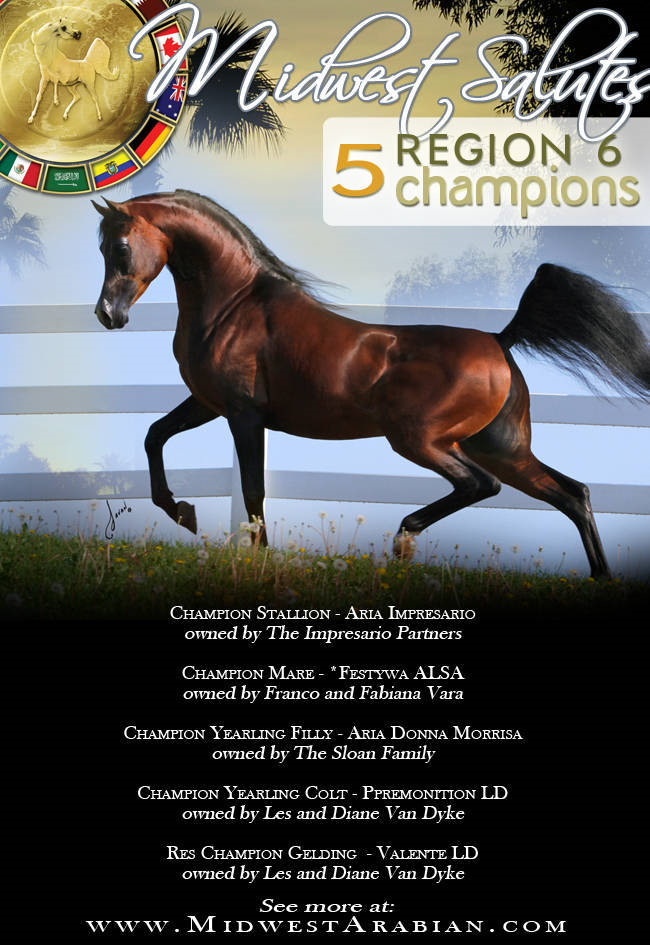 2012 Region 6 Championships