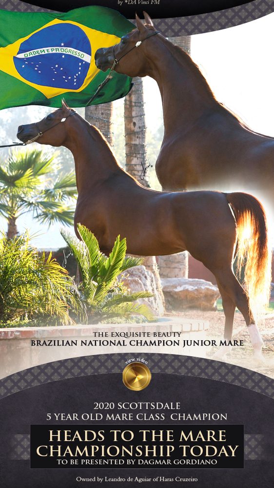 Brazilian National Champion Mare *Dandara LA – Scottsdale 2020