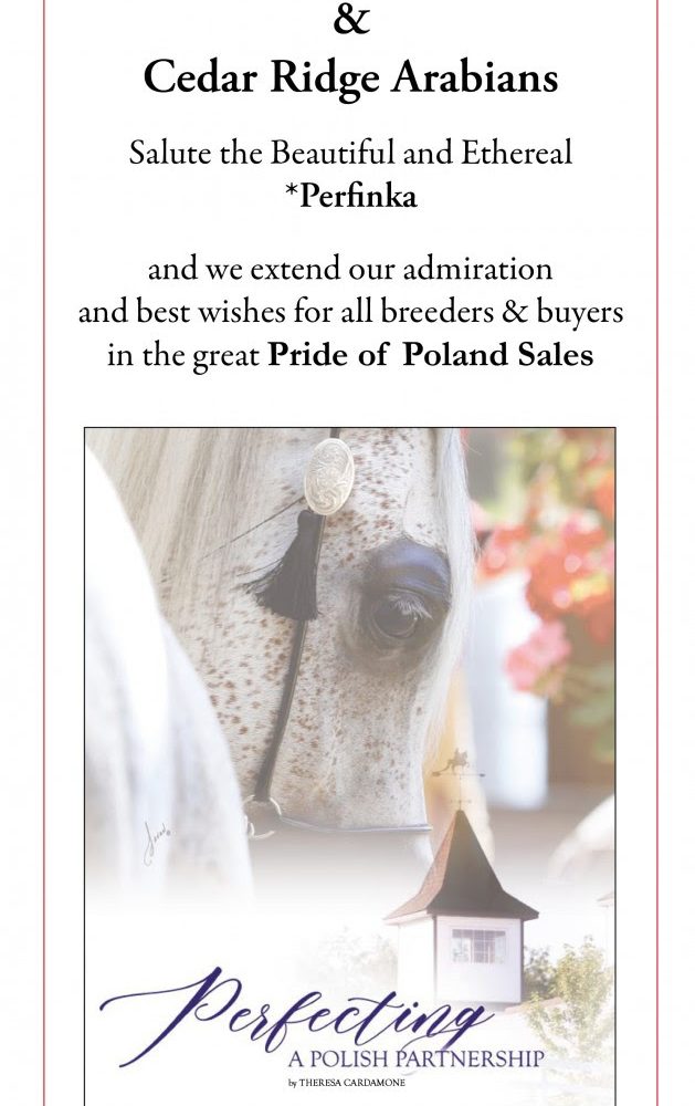 Best Wishes for Pride of Poland