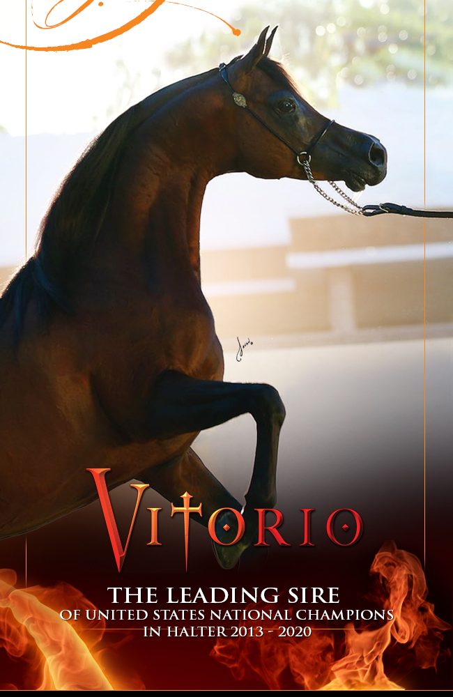 Joy In His Heart: Vitorio