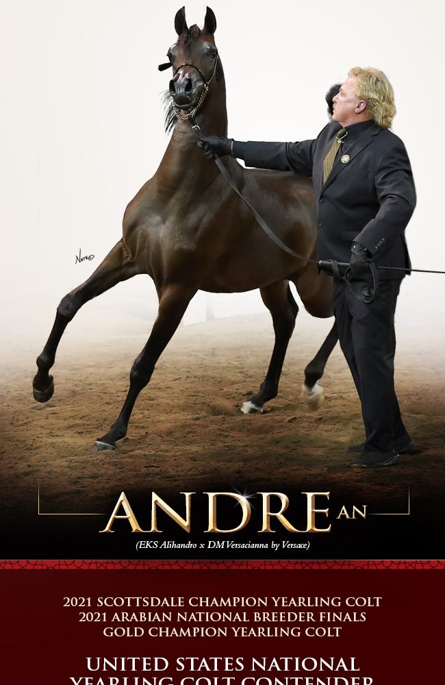 His Destiny Awaits – Andre AN