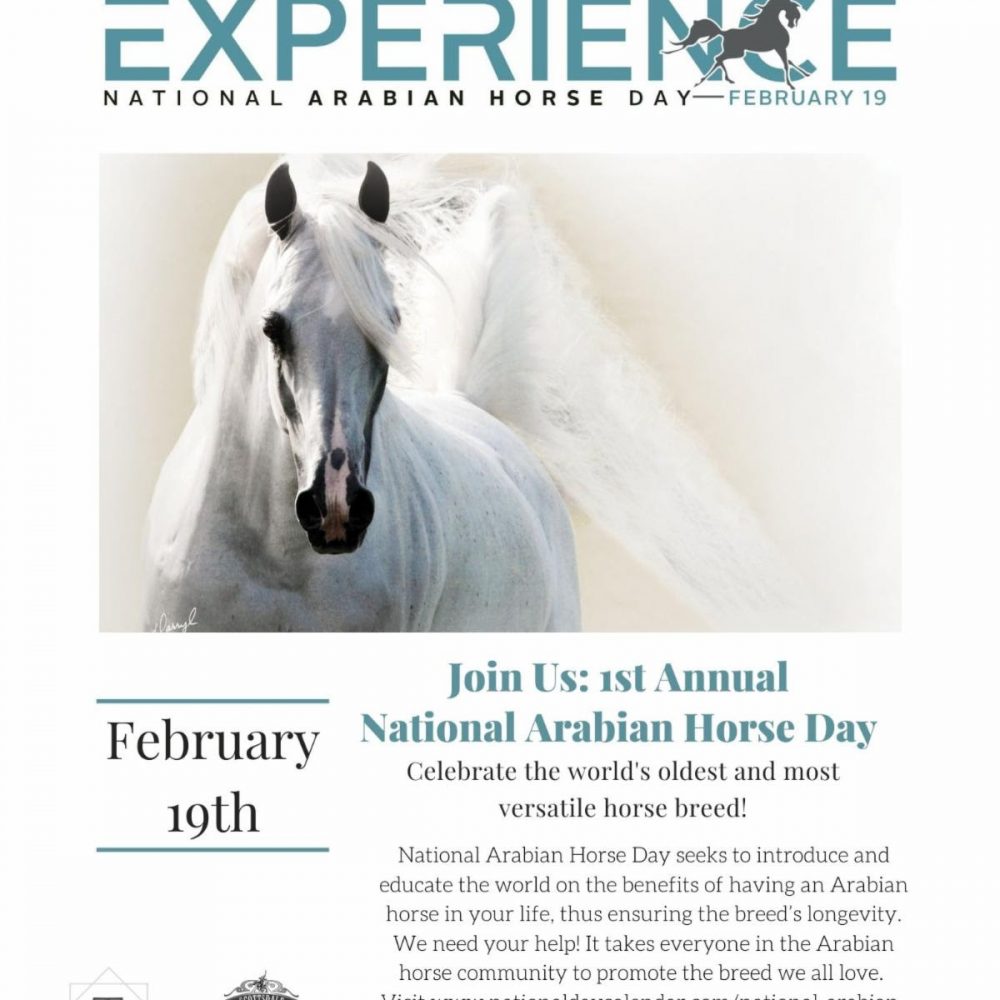 National Arabian Horse Day