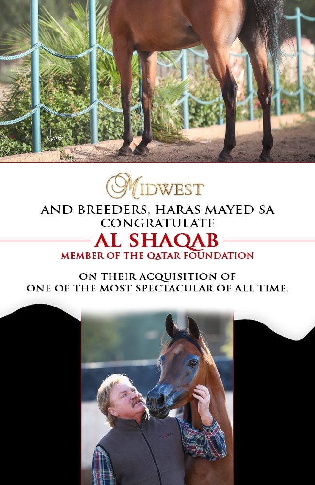 Midwest & Mayed SA Congratulate Al Shaqab
