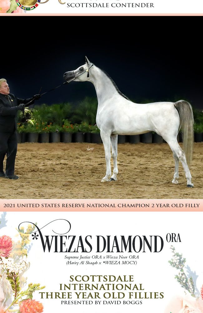 Wieza, A Diamond in The Desert