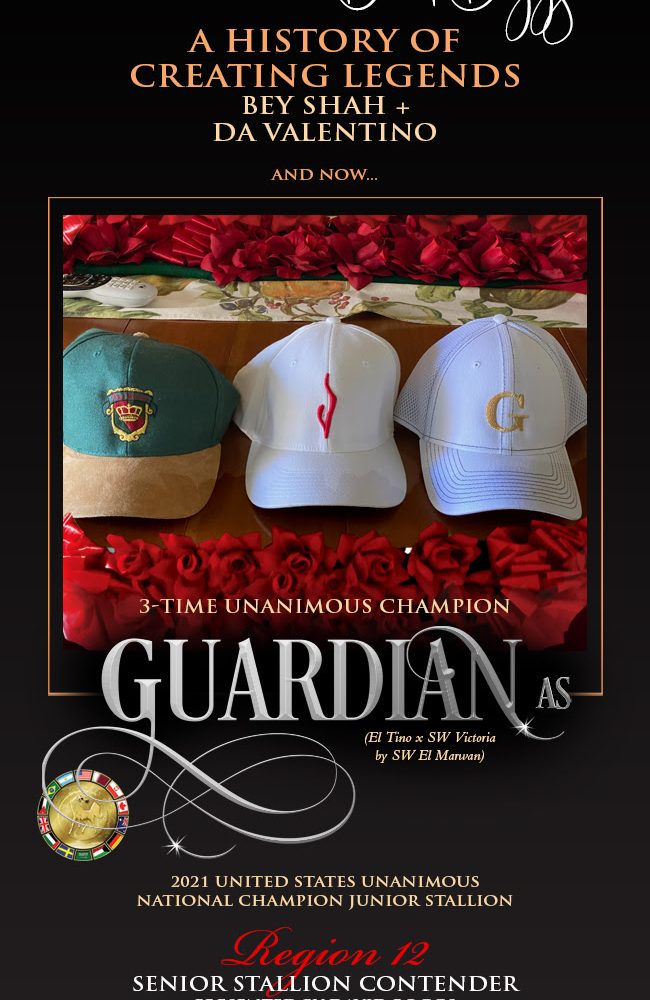 Guardian- The Spirit of The Red Horse