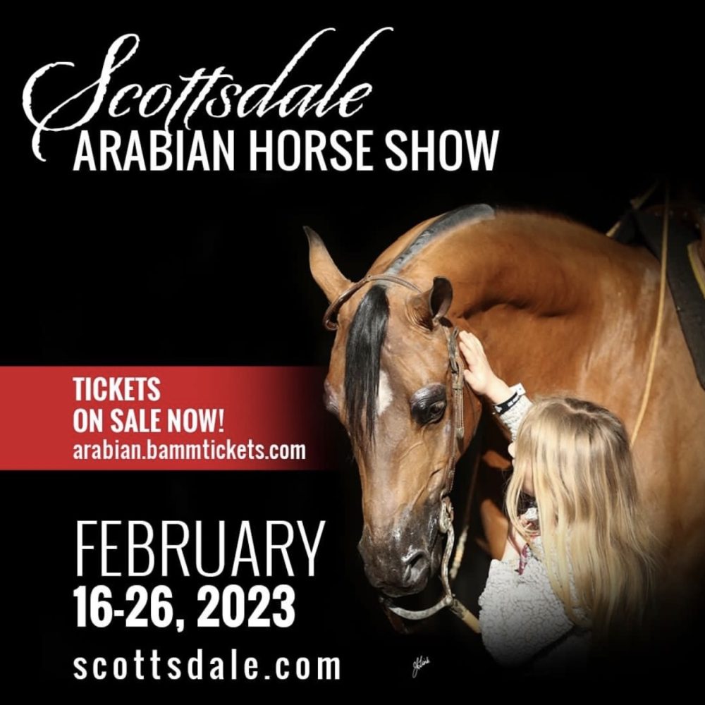 2023 Scottsdale Arabian Show