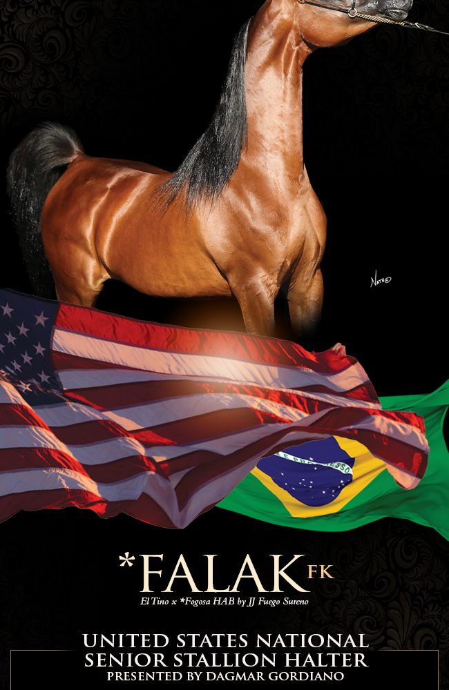 Brazilian National Champion *Falk FK – Now On American Soil And Is Tulsa Bound!